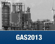 NEN Gas 2013